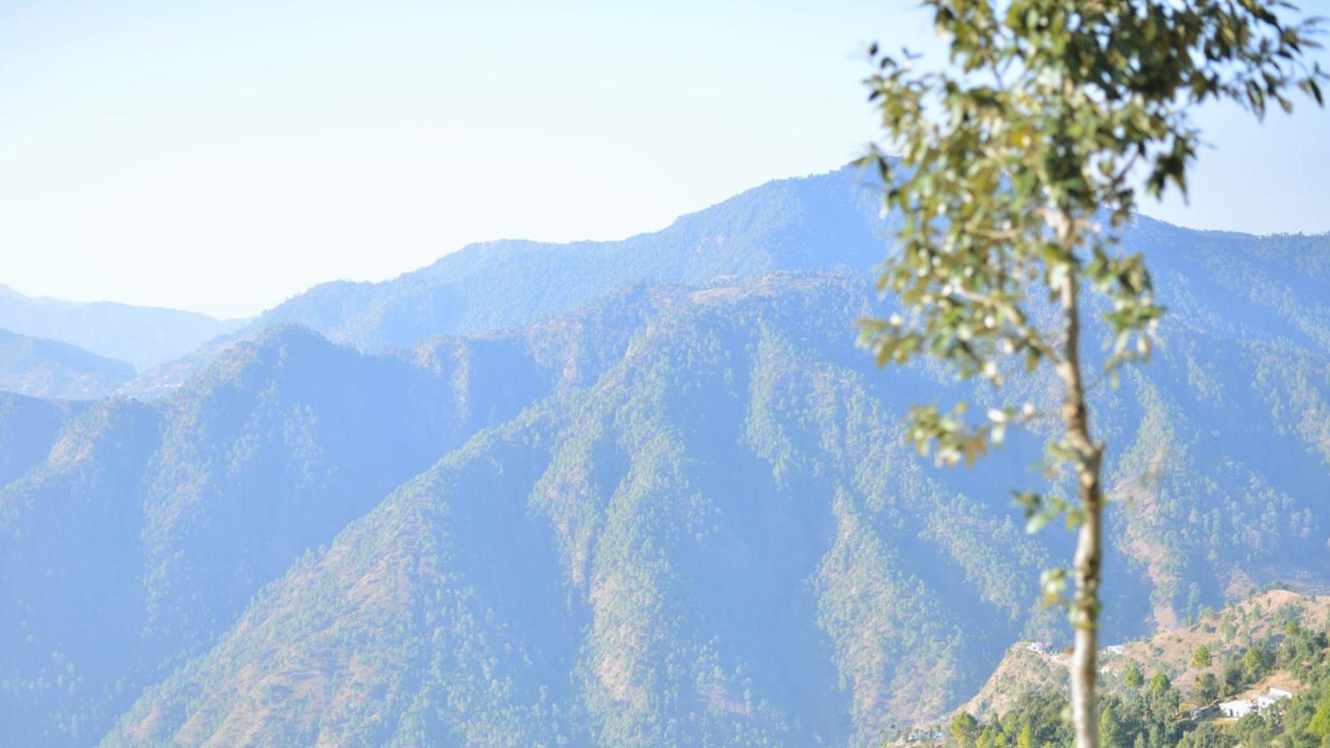 Haut Monde King'S Paradise Resort Kanatal Exterior foto